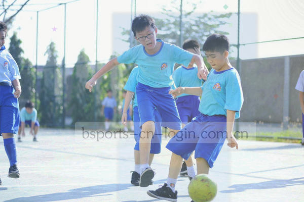 BSPORTS登录页面出现输入错误提示时的界面示意，包含返回与重试按钮